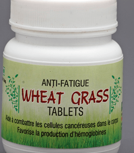 Wheat Grass